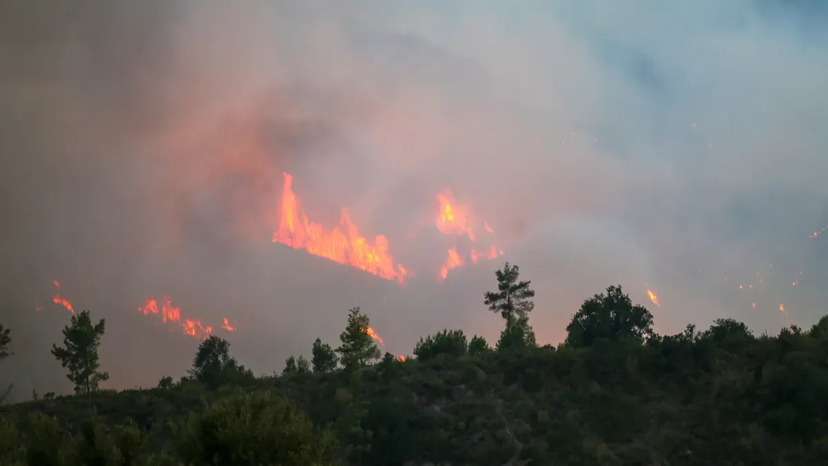 Antalya, Muğla ve Adana'daki Orman Yangınları Devam Ediyor